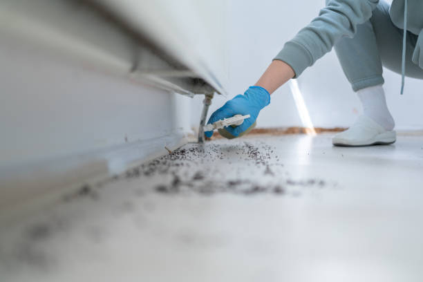 Best Wildlife Control Services  in Cokato, MN