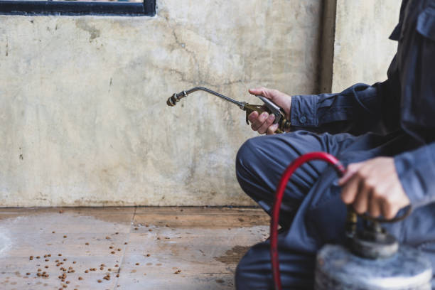 Best Local Pest Control Services  in Cokato, MN