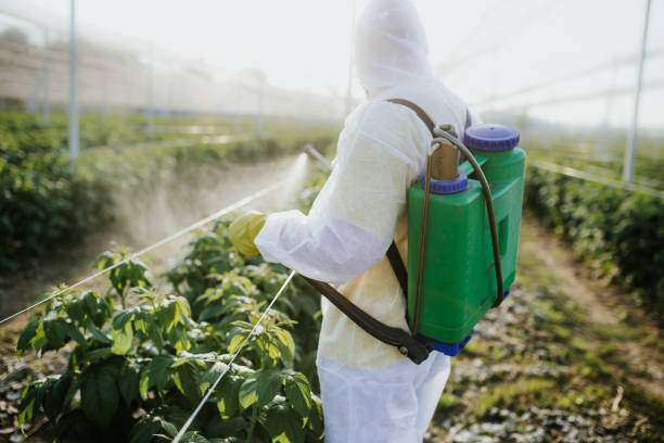 Best Residential Pest Control  in Cokato, MN